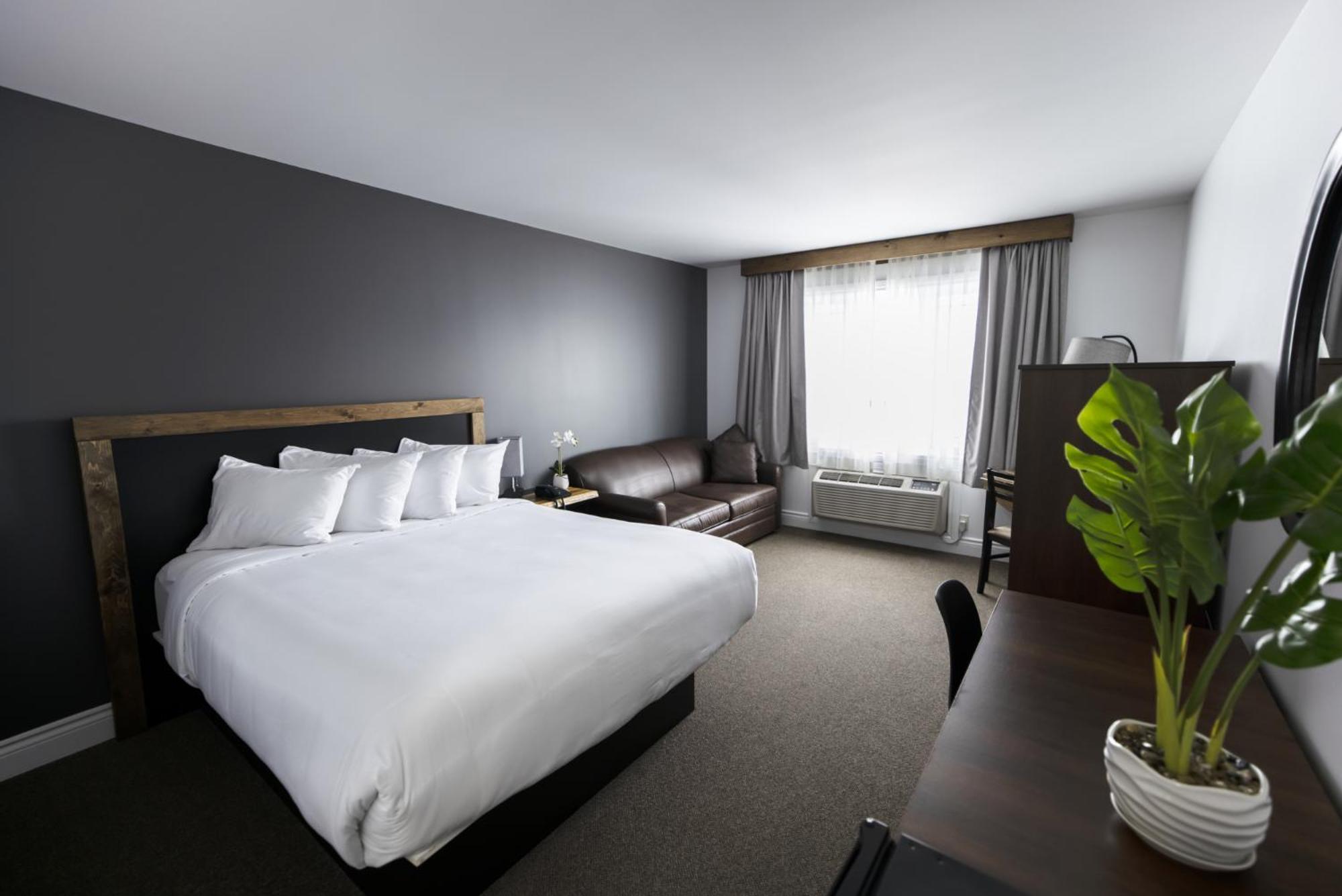 Napoleon Motel Angers